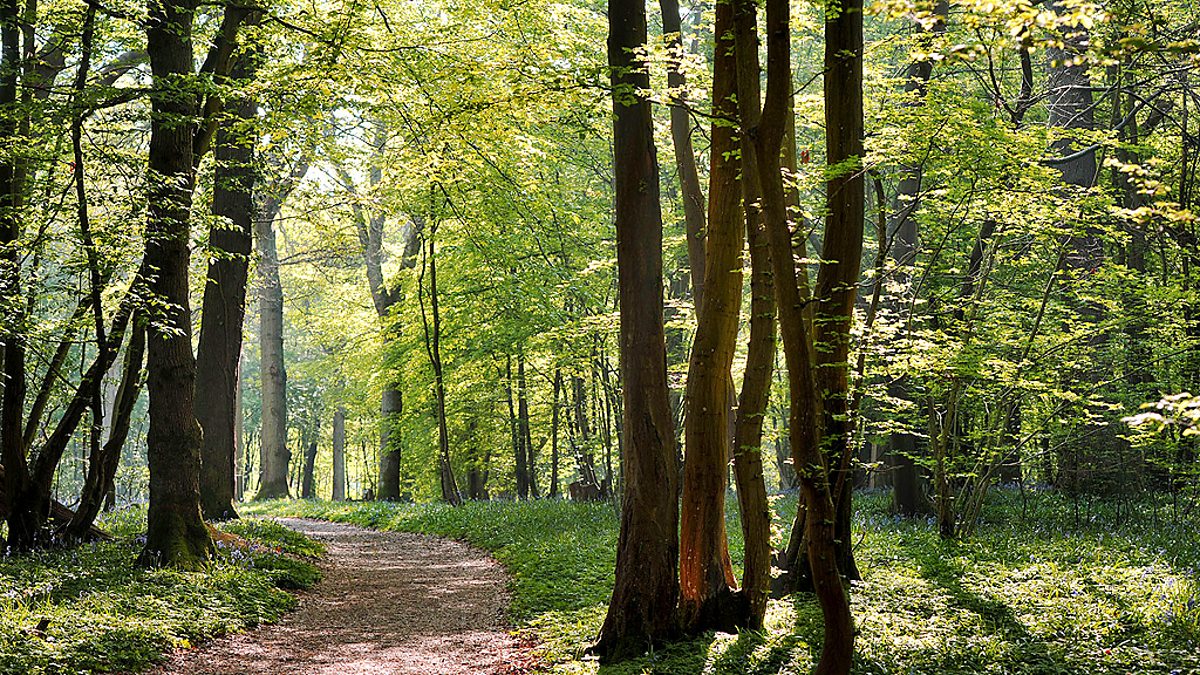 BBC Radio 3 - Words and Music, I Love No Leafless Land