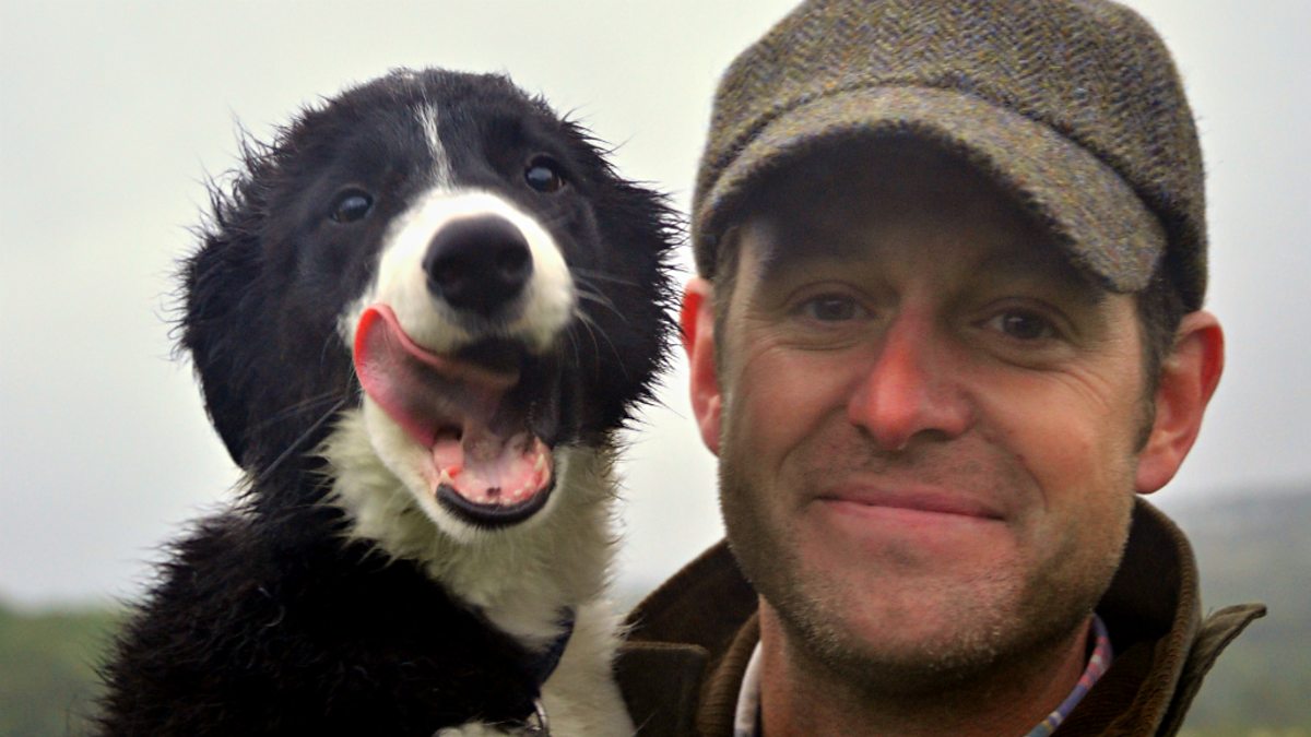 BBC One Man and His Dog Matt with his sheep dog puppy Bob