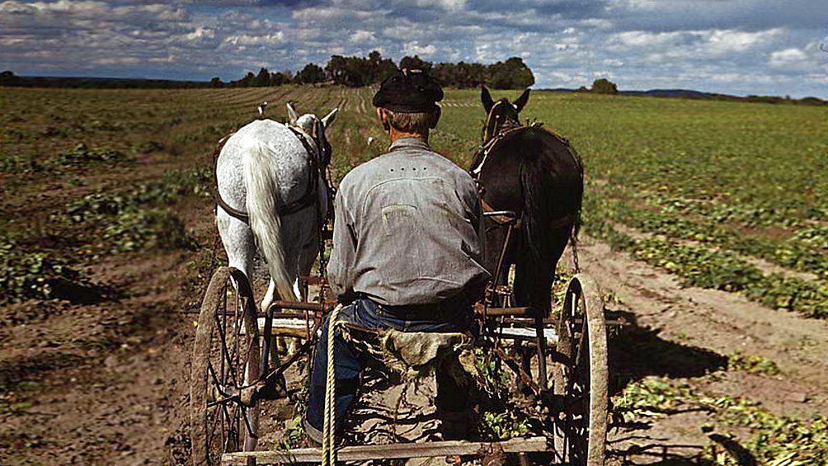 BBC Radio 4 Extra - Poison Farm: A Murderer Unmasked After 60 Years