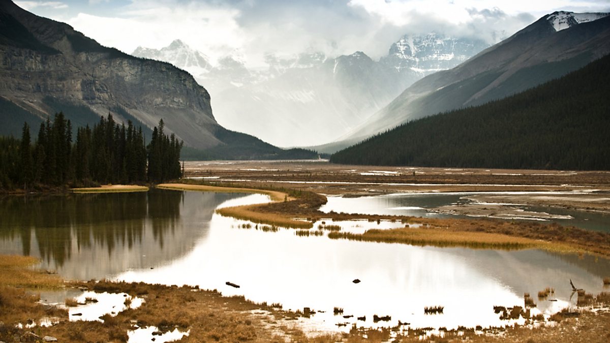BBC Radio 4 Book at Bedtime, David Vann Caribou Island Episode guide