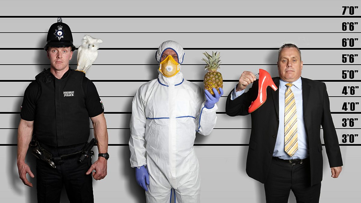 bbc-three-bizarre-crime
