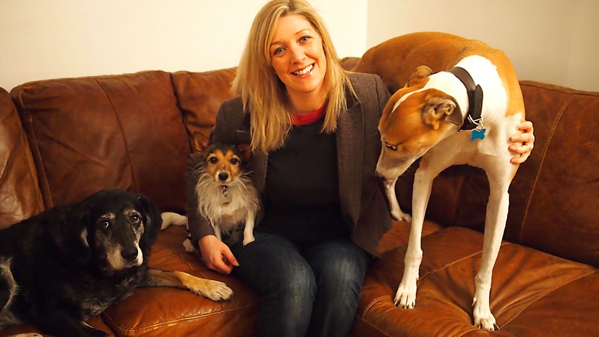 BBC Radio Ulster The Pet Set