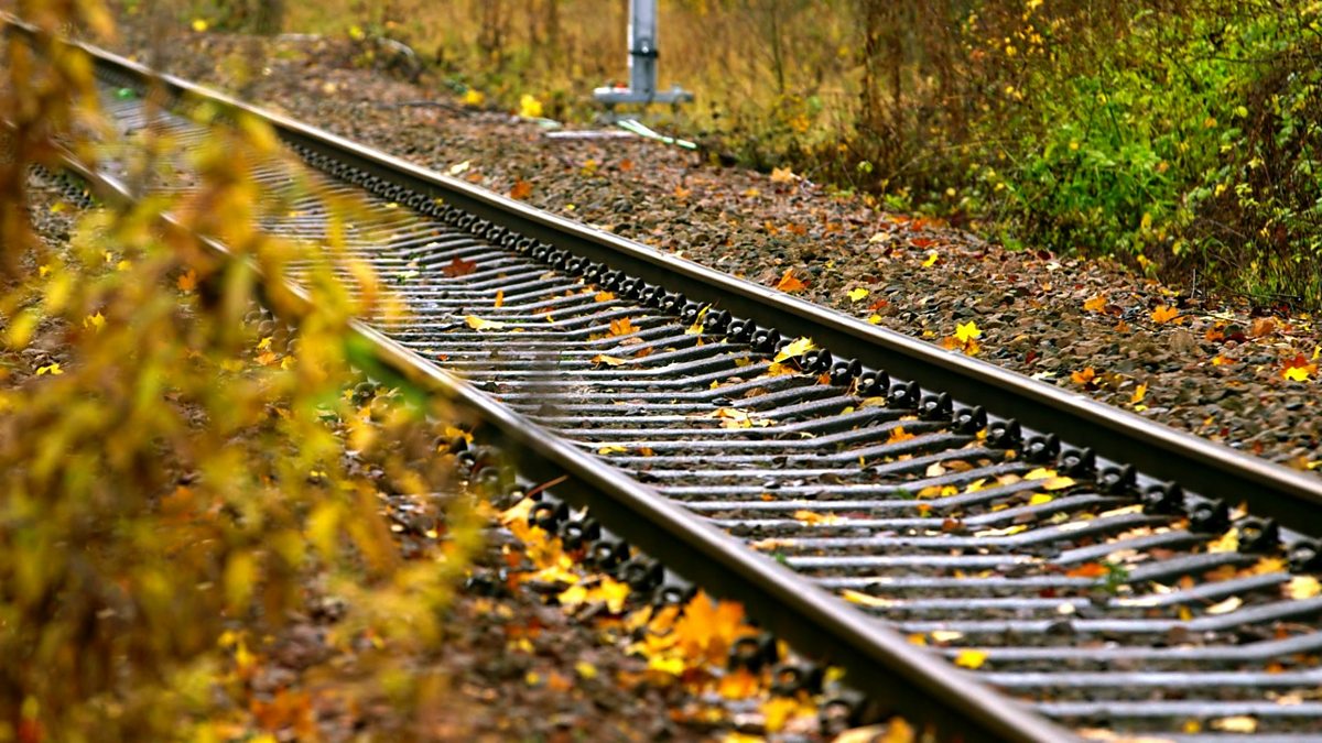 BBC One - Keeping Britain Safe 24/7, Autumn, Network Rail tackles a  seasonal problem