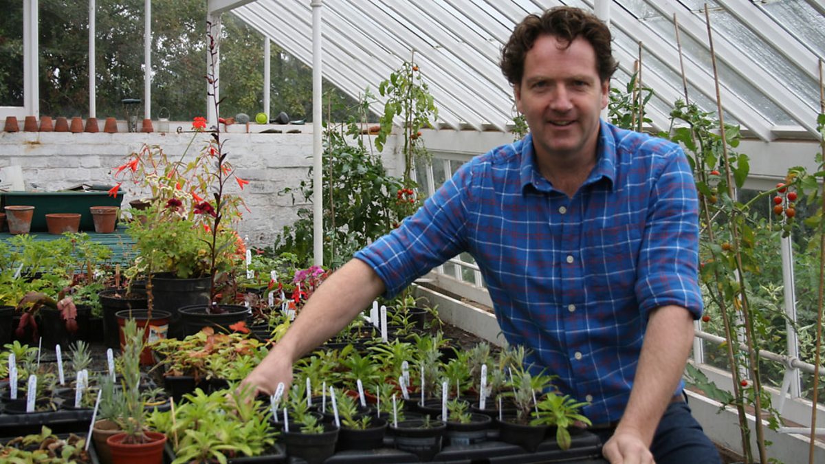 BBC Two The Great British Garden Revival in pictures Great British