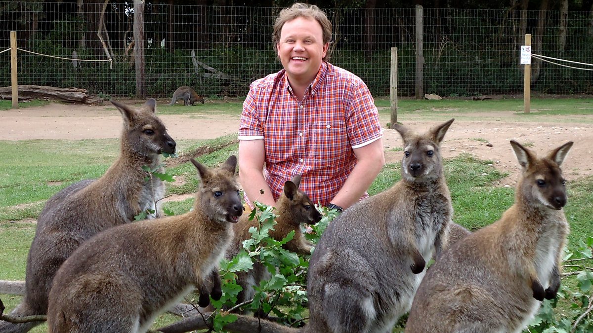 BBC iPlayer - Something Special - Were All Friends: Series 9: 10. Wildlife Park BBC iPlayer - Something Special - Were All Friends: Series 9: 10. Wildlife Park