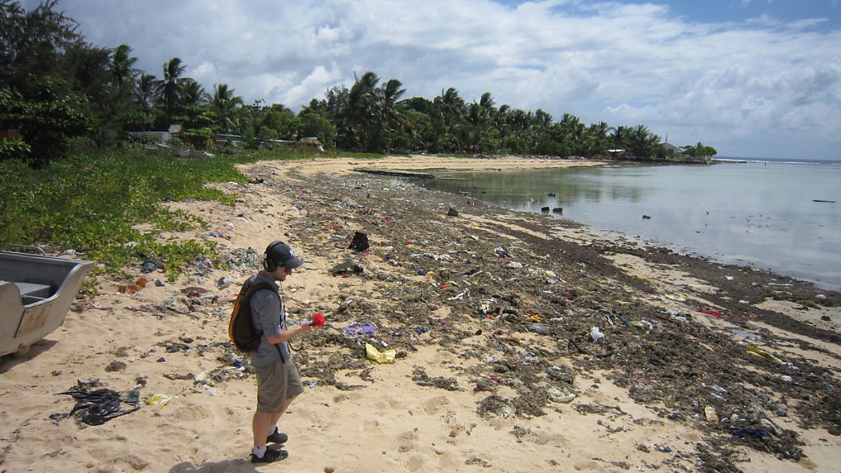 Bbc World Service - Discovery, Saving The Oceans - Part One