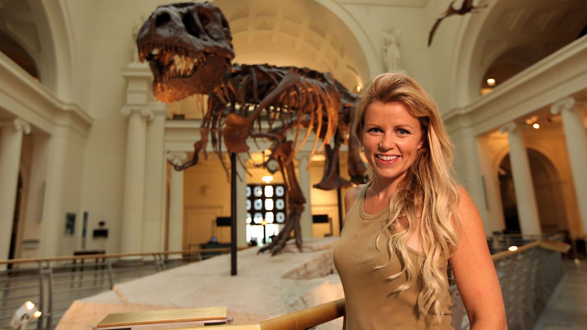 BBC One The Treasure Hunters, Raw Treasure