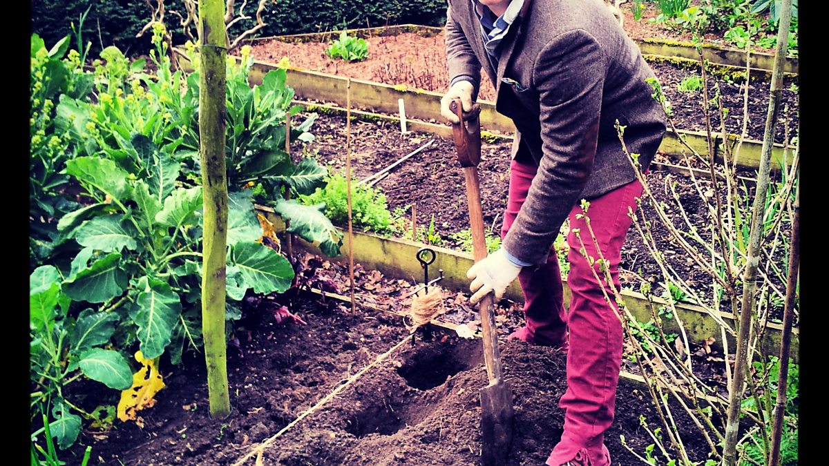 BBC Radio Norfolk The Garden Party, Professional tree climber James