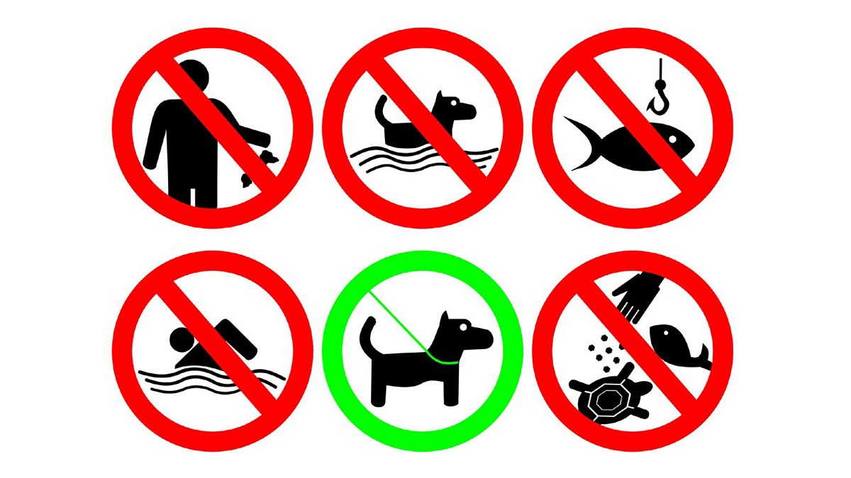 Запрещающие и разрешающие знаки поведения у водоема
