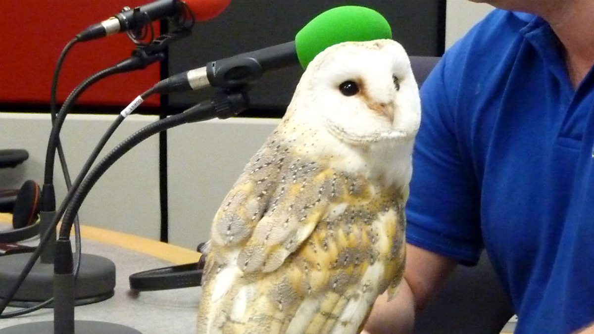 BBC Radio York - Georgey Spanswick at Breakfast, 27/05/2014, Our ...