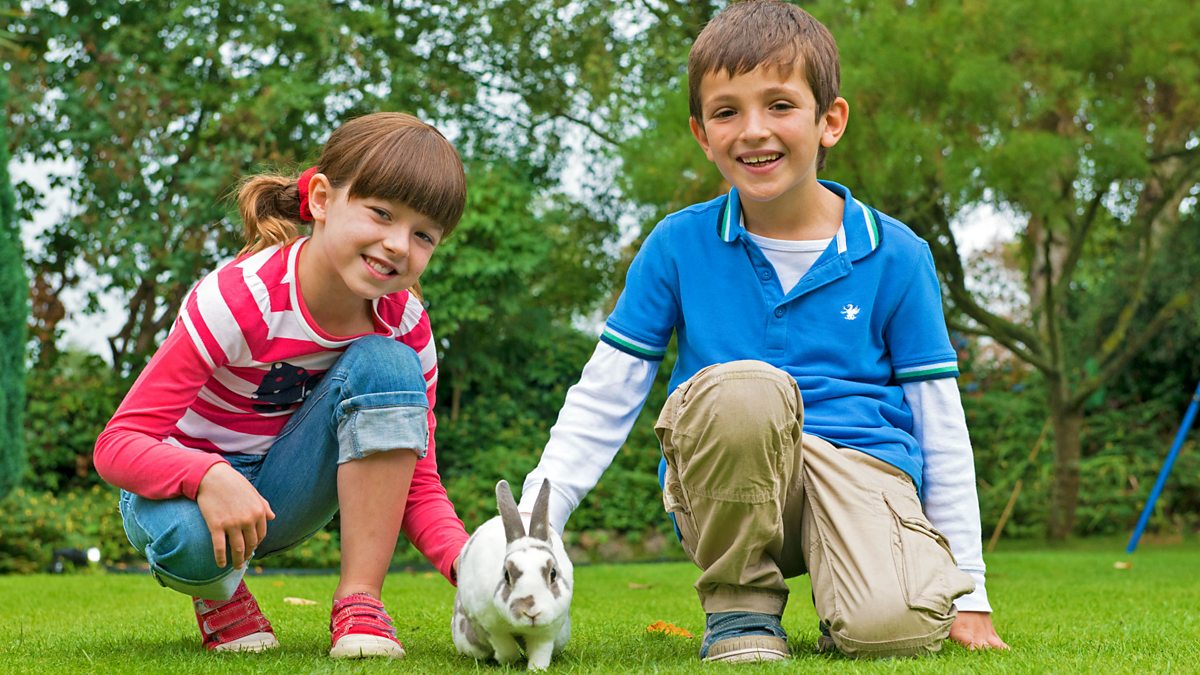 Topsy and Tim - Series 2: 2. New Pet - Signed - BBC iPlayer