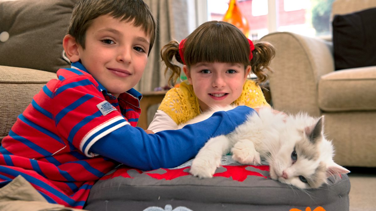 Bbc Iplayer Topsy And Tim Series 2 9 Lost Cat