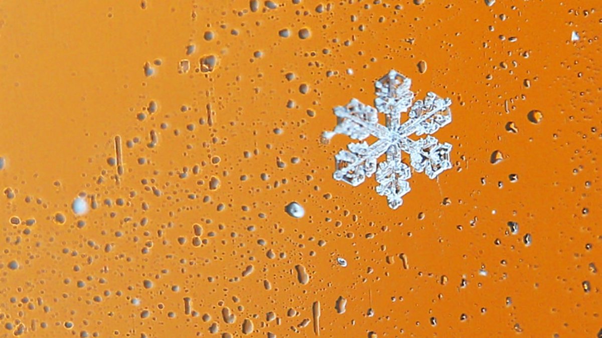 BBC Radio 4 Today, 12/07/2014, Artificial snow for Australia's ski slopes