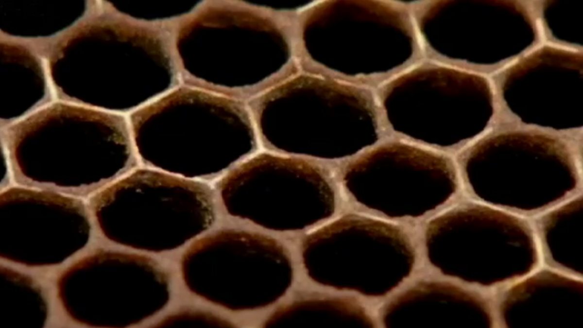 bee-swarm-simulator-3-year-5-million-honey-codes-all-new-bee-swarm-simulator-codes-youtube