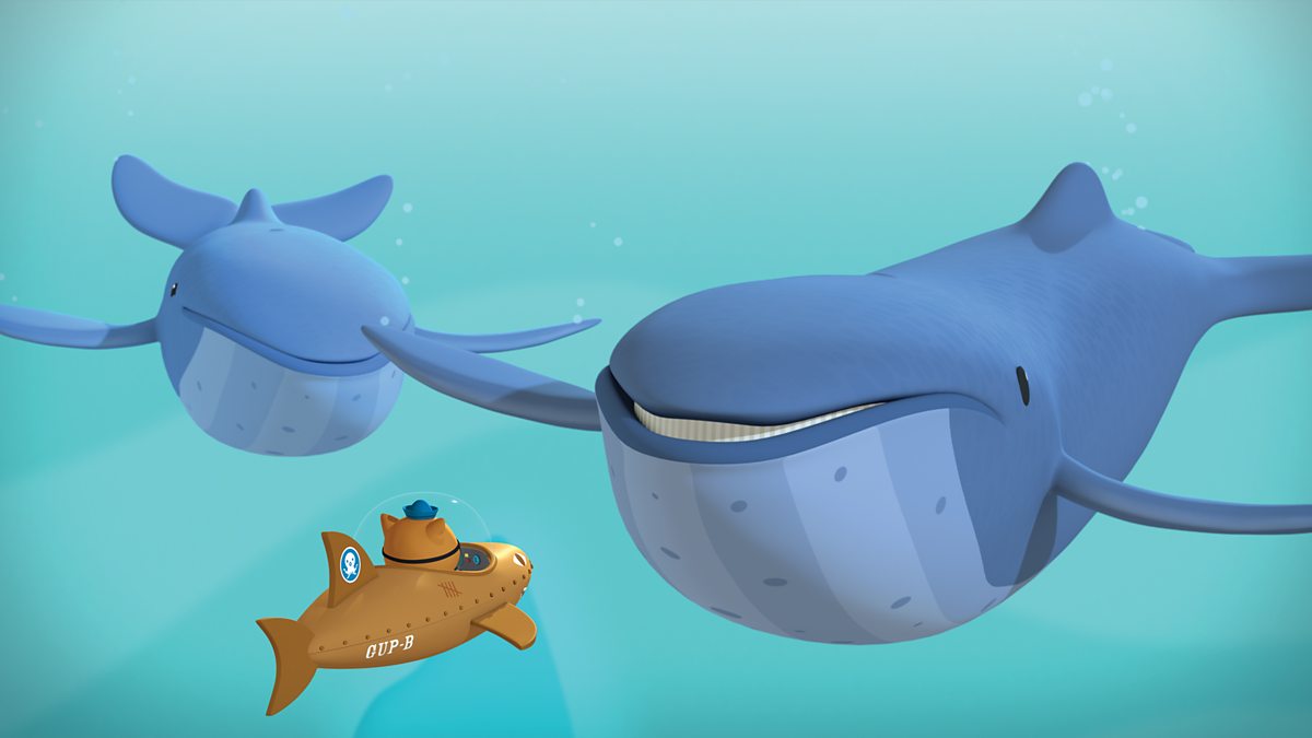 BBC iPlayer - Octonauts - Series 1: 23. The Mixed Up Whales