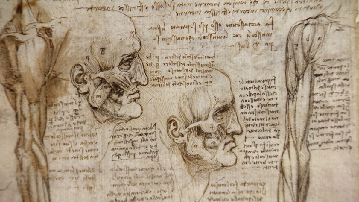 Леонардо да Винчи анатомические рисунки коллаж