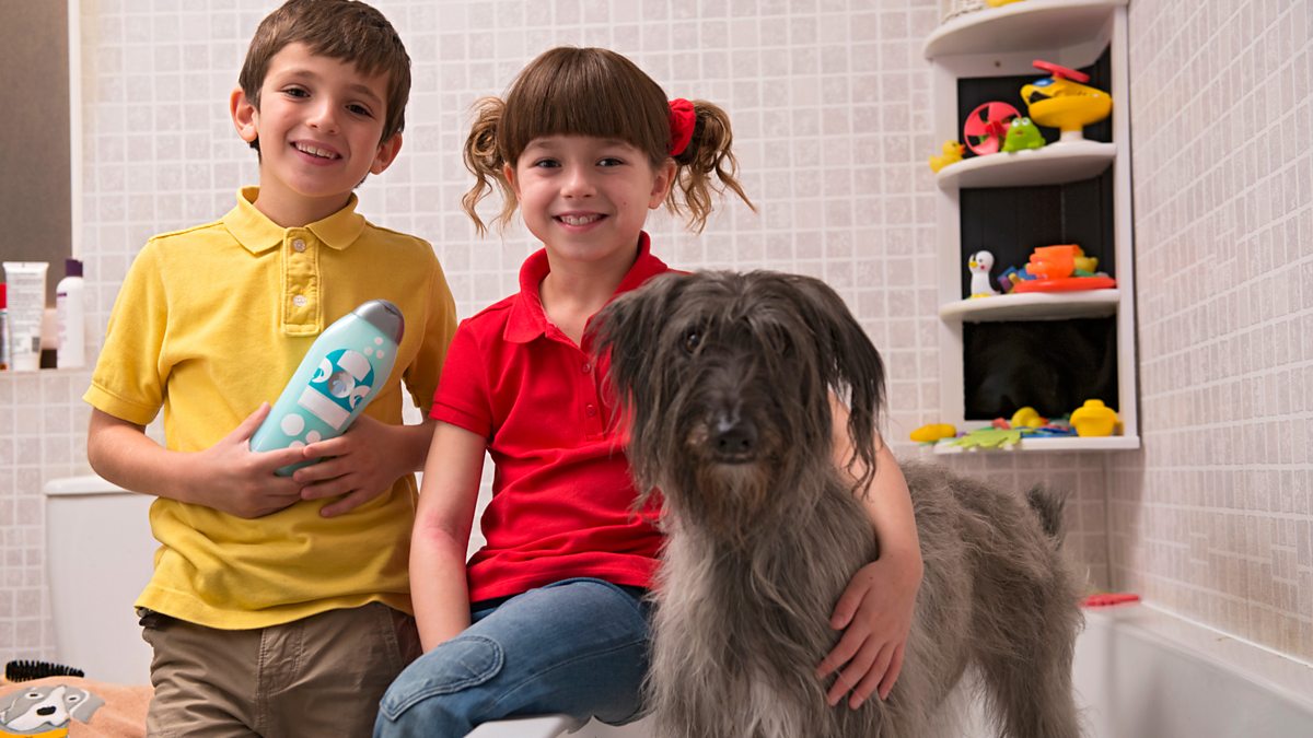 BBC iPlayer - Topsy and Tim - Series 2: 18. Washing Mossy - Audio Described