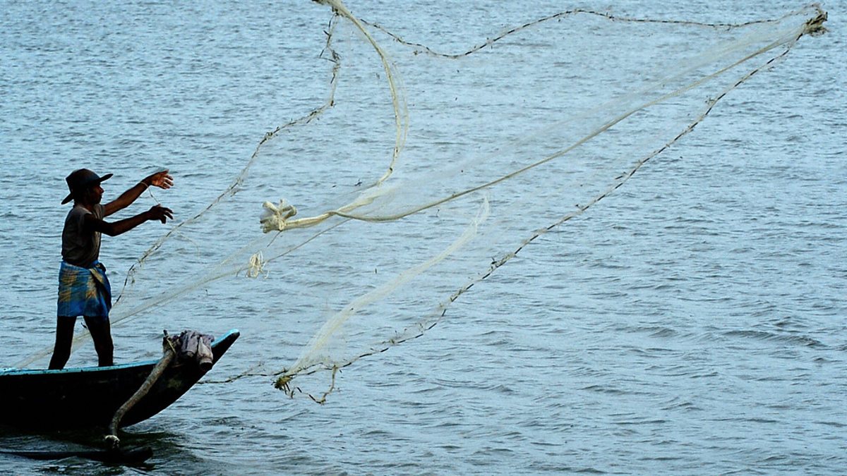 Bbc World Service The Documentary The Singing Fish Of Batticaloa