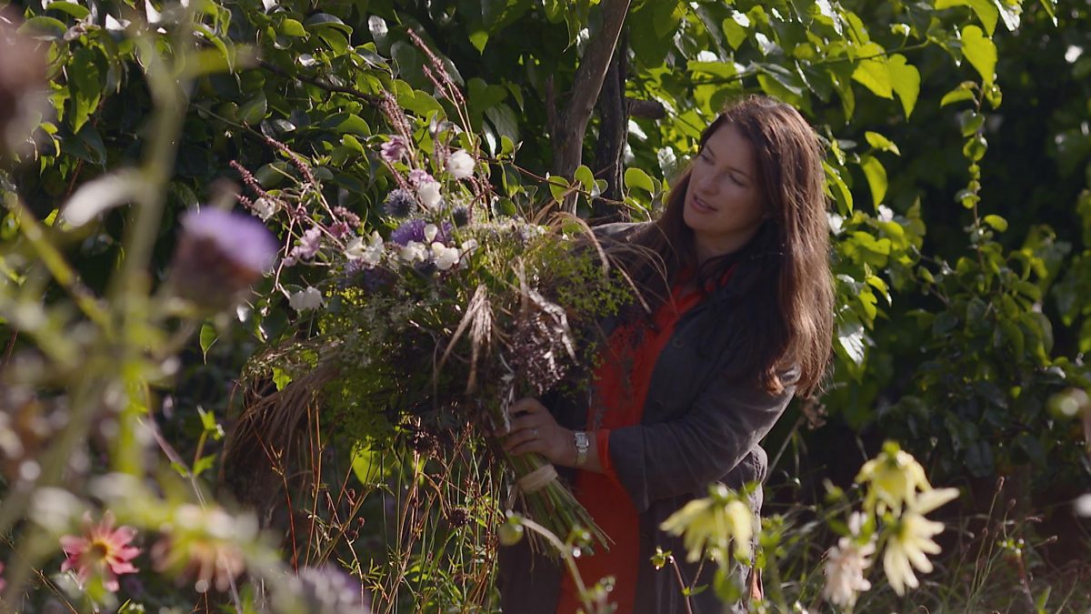 BBC Two - Gardeners' World, 2014, Episode 30, Rachel’s cut flower diary ...