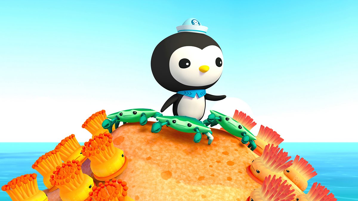 BBC iPlayer - Octonauts - Series 1: 16. The Enemy Anemones