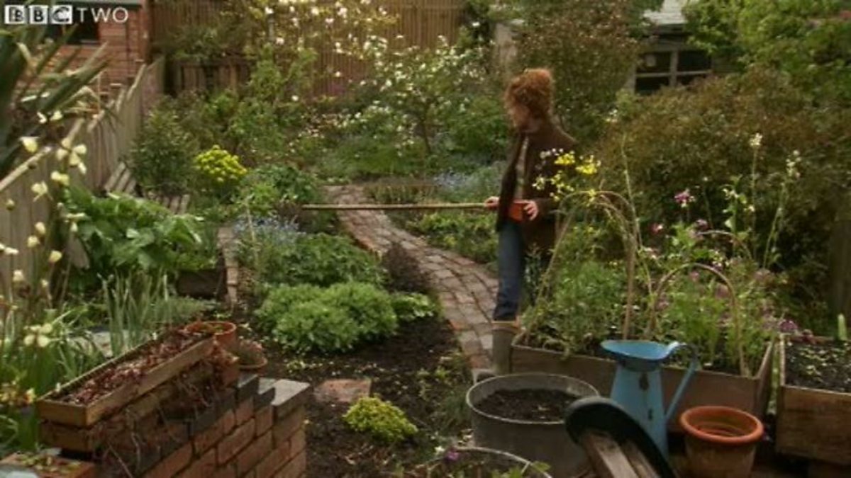 Bbc Two The Edible Garden Alys S Garden Plan