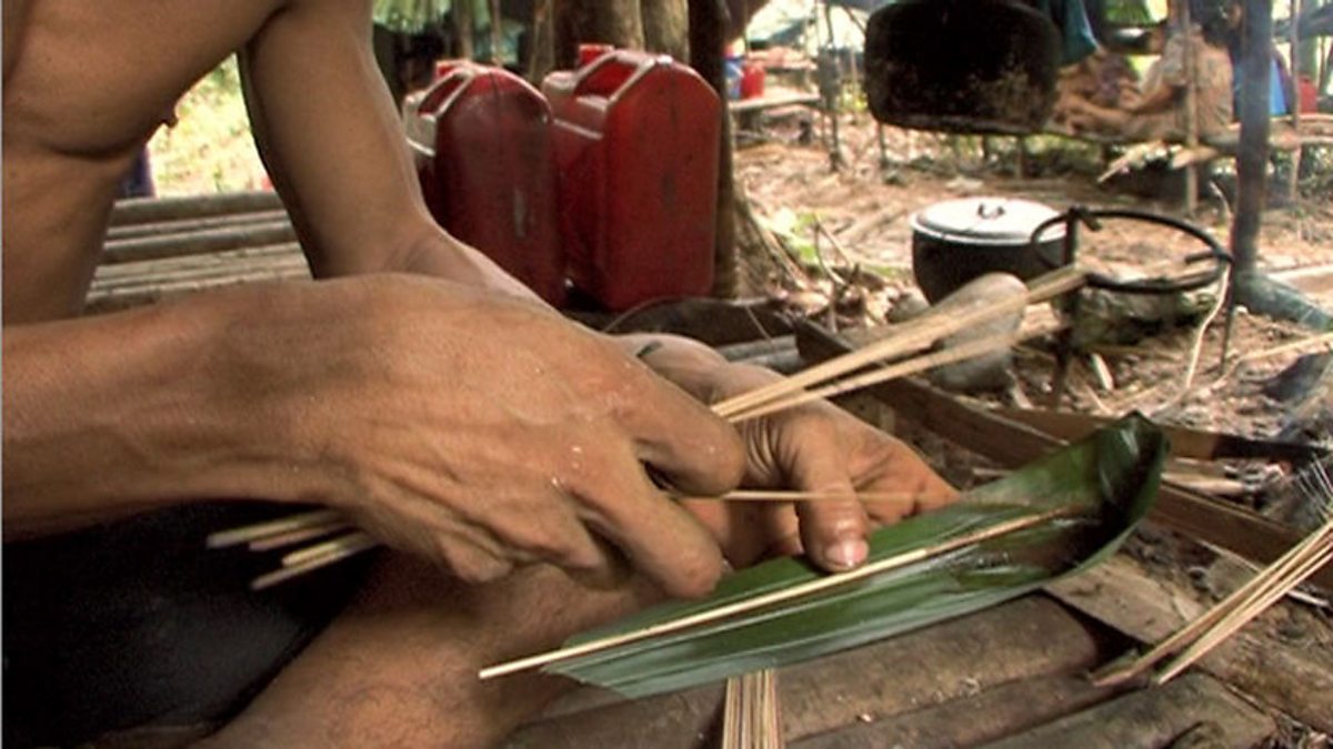 BBC Two Tribe, Series 3, Penan, Making poison darts