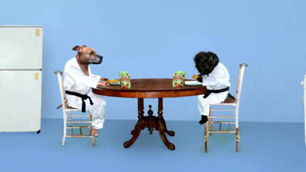 CBBC My Toons, Dog Judo Meat Sprinkles