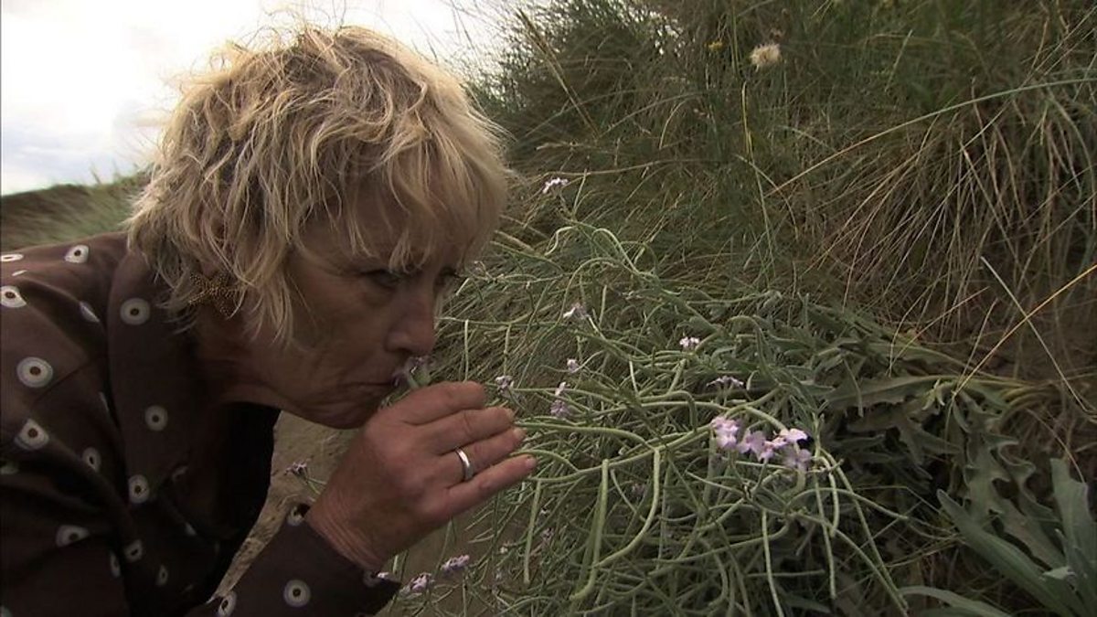 BBC Two - Life in a Cottage Garden with Carol Klein, Series 1, High