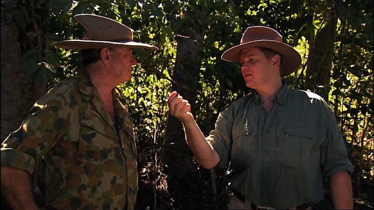 Bbc Two Ray Mears Goes Walkabout The Bushtucker Man Quick Bush Snack