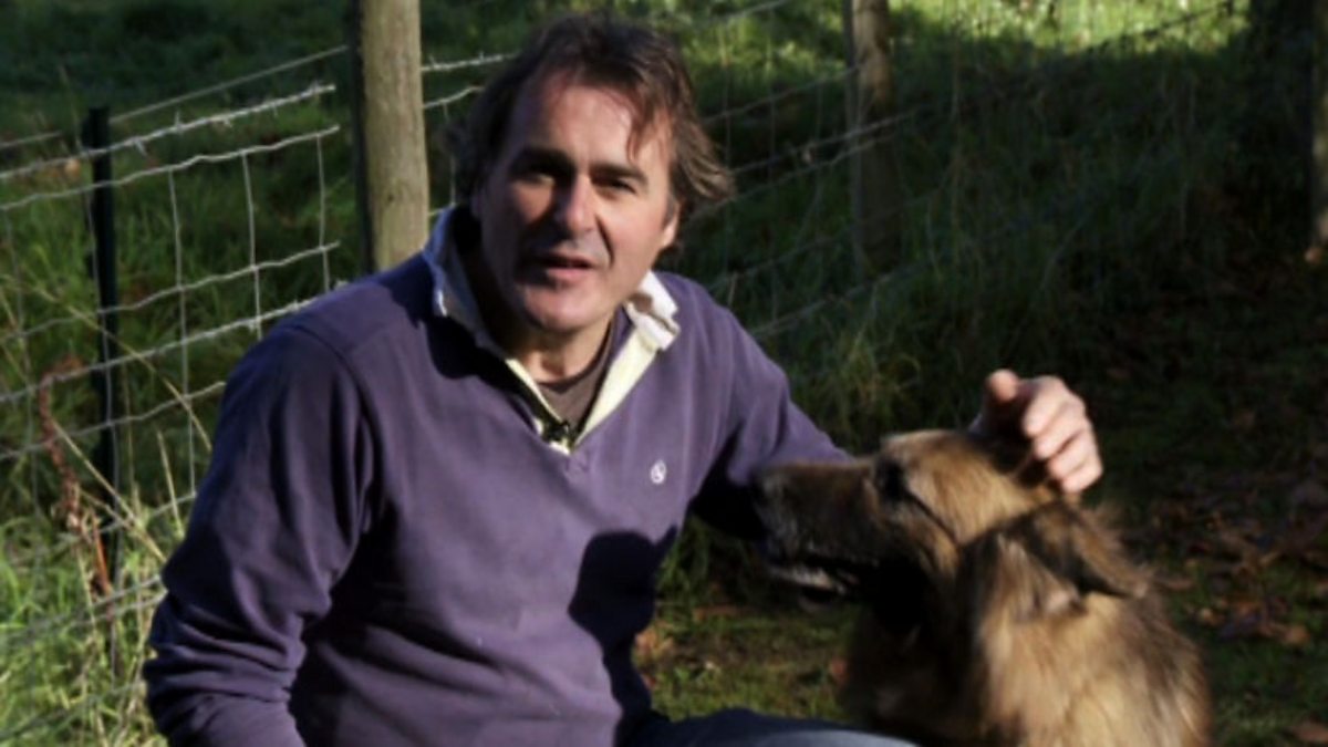 BBC One Flog It!, Series 9, At home with Paul Martin