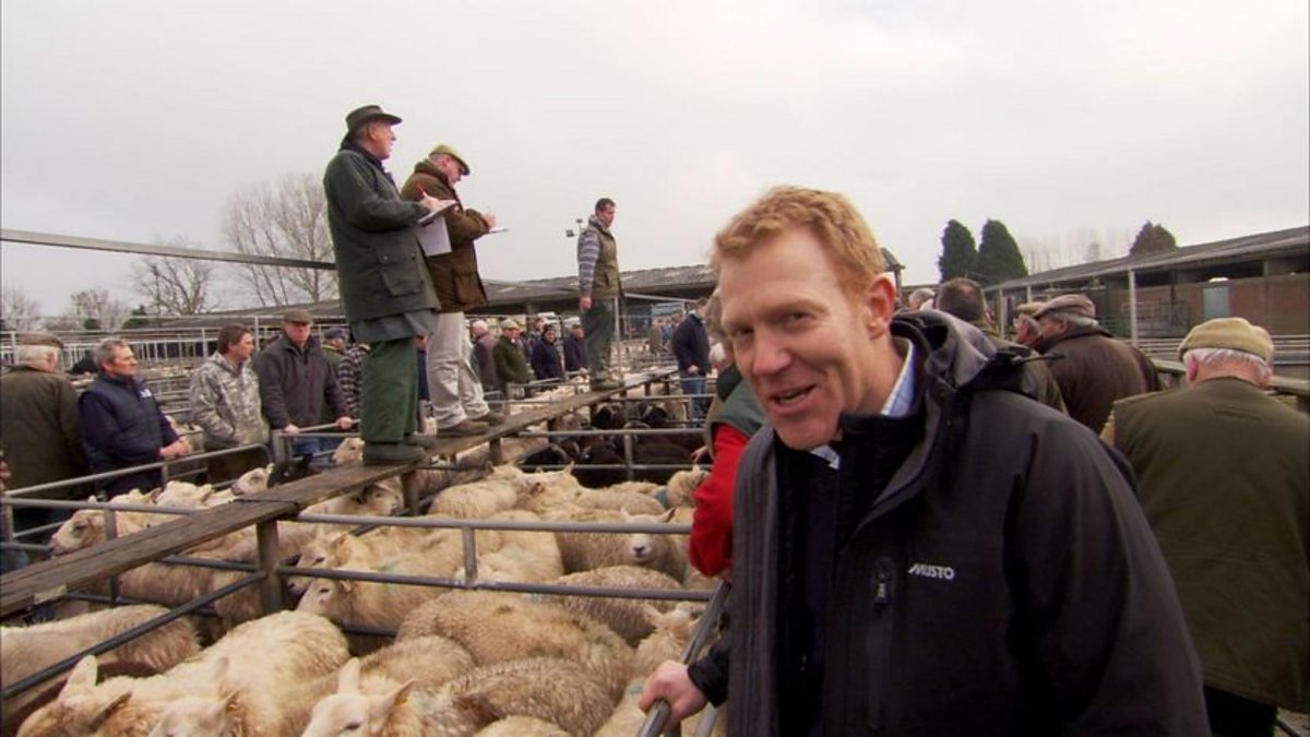 BBC Two - Lambing Live, Series 2, Adam Goes to Market