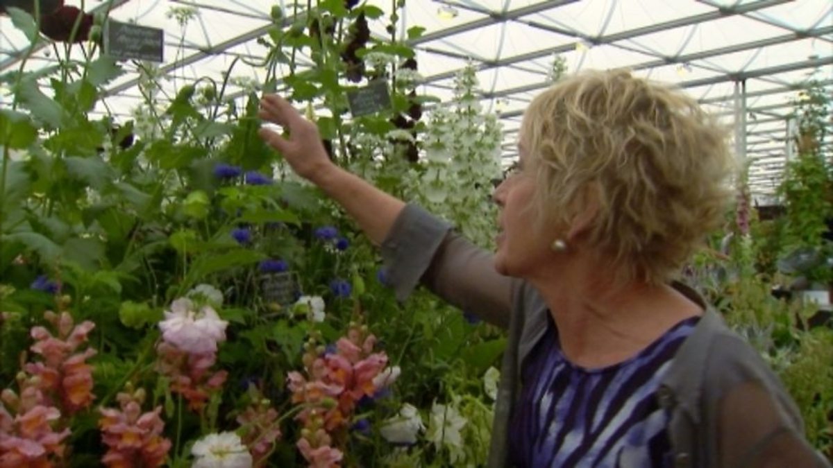 BBC Two Gardeners' World, 2011, Episode 13, Carol visits the