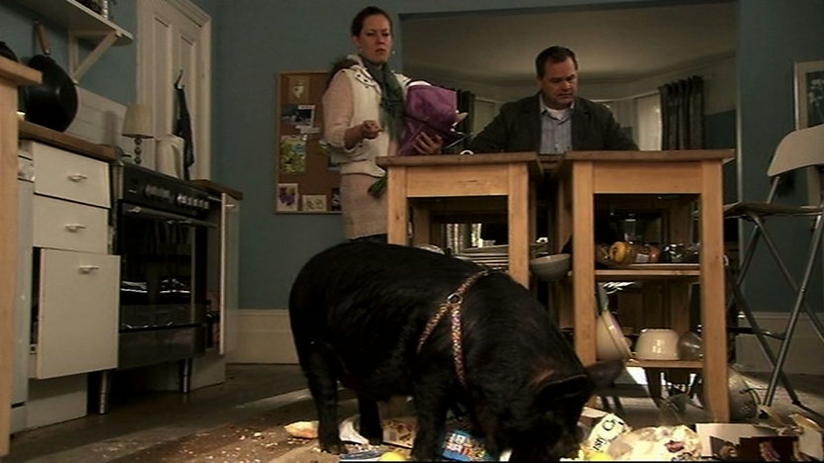 BBC Two Lead Balloon, Series 4, Pig, Magda And The Pig