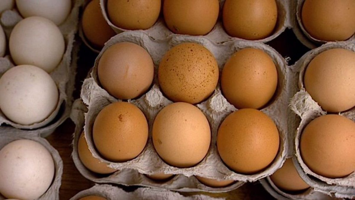BBC One Ever Wondered About Food, Series 3, Eggs, Egg rationing and dried eggs