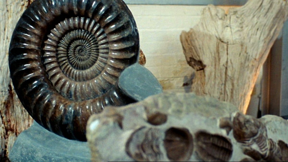 BBC One New Tricks, Series 8, Old Fossils, Brian & Gerry Visit The