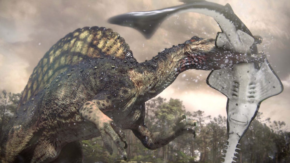Динозавр живущий в воде. Спинозавр Планета динозавров. Планета динозавров bbc 2011. Планета динозавров / Planet Dinosaur 2011. Планета динозавров bbc Спинозавр.