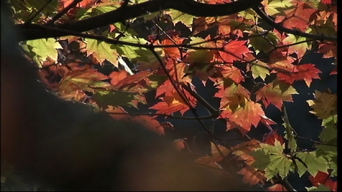 BBC Two - Autumnwatch, Live 2011, Episode 1, Astronomical equinox