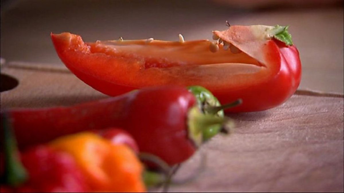 BBC Three The Secrets of Everything, Episode 2, Why do chillies burn