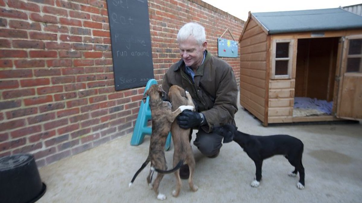 BBC Four Woof! A Horizon Guide to Dogs, Dr John Bradshaw, Author of