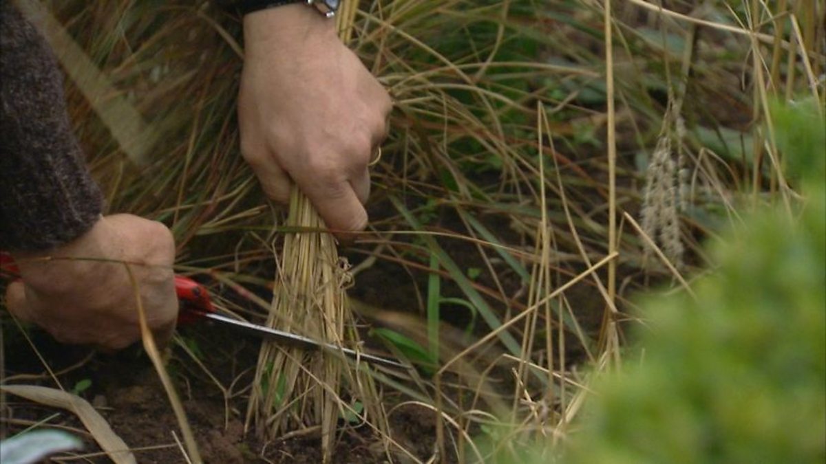 BBC Two Gardeners' World, 2012, Episode 2, Cutting back grasses