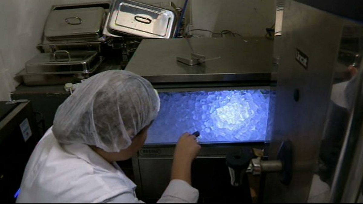 BBC One Food Inspectors, Series 1, Infestation, The Kitchen Inspection