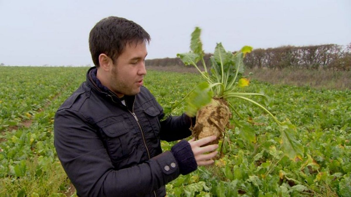 BBC Two - Our Food, Norfolk, James Wong and Norfolk Sugar Beet