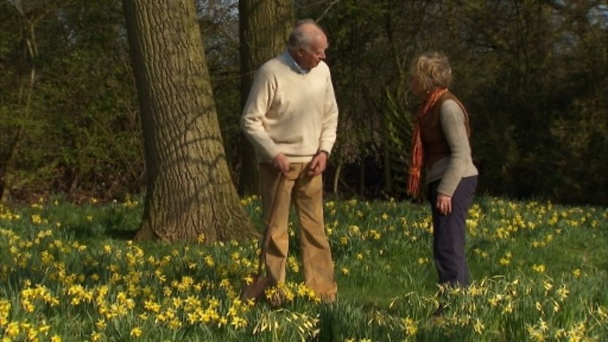 BBC Two Gardeners' World, 2012, Episode 5, Moving daffodils