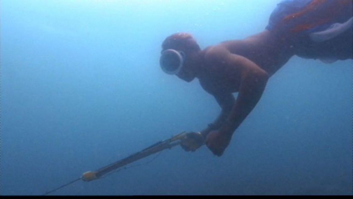 BBC Two - Indian Ocean with Simon Reeve, Madagascar to the Seychelles ...