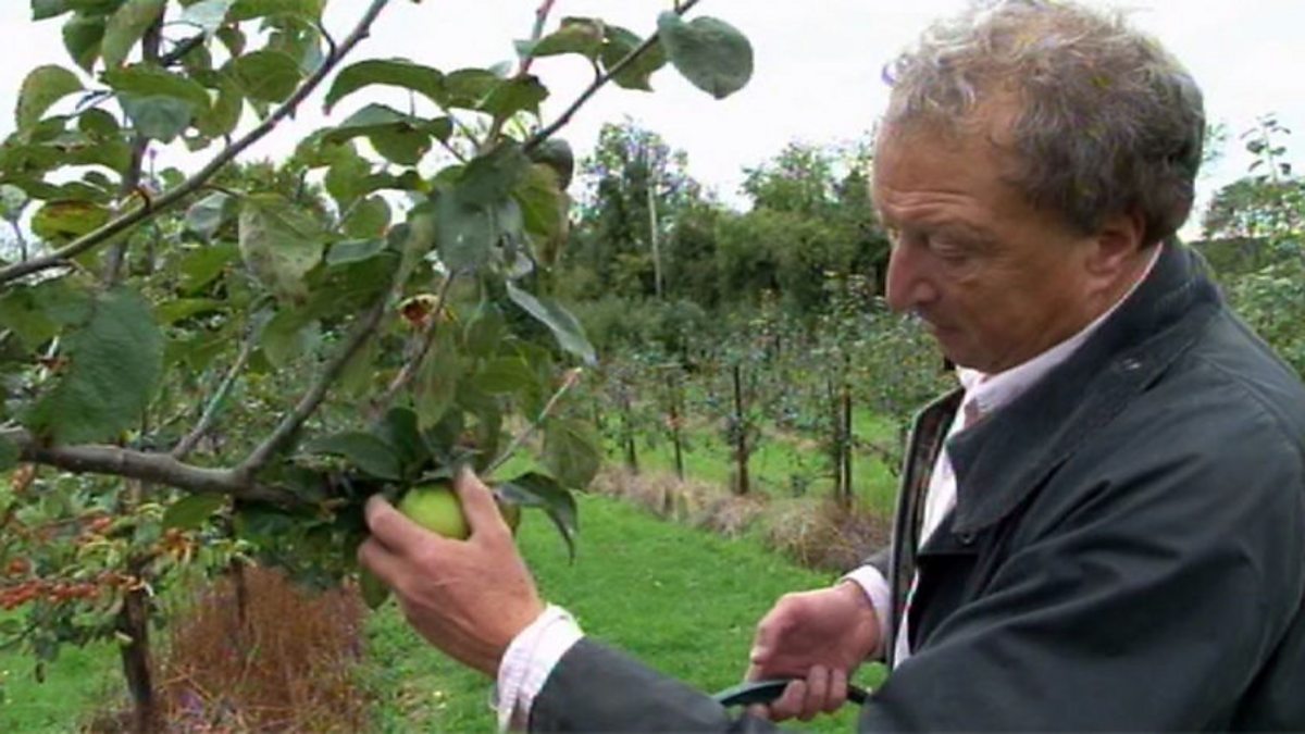 BBC One The Farm Fixer, Series 1, Episode 3, Brownlee Farm looks to diversify