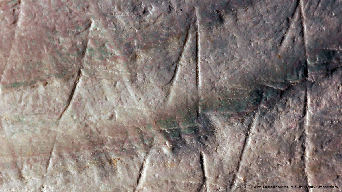 BBC Radio 5 Live 5 Live In Short, World's oldest piece of art discovered