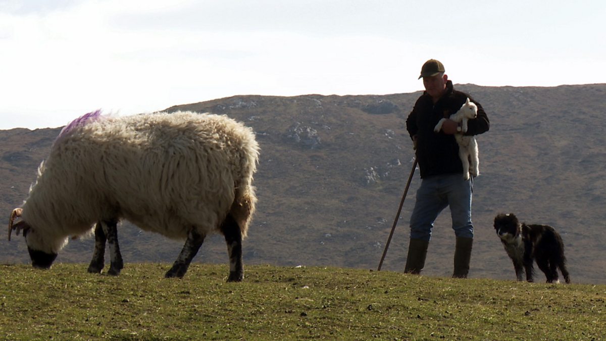 BBC ALBA - Splaoid nan Ciobar