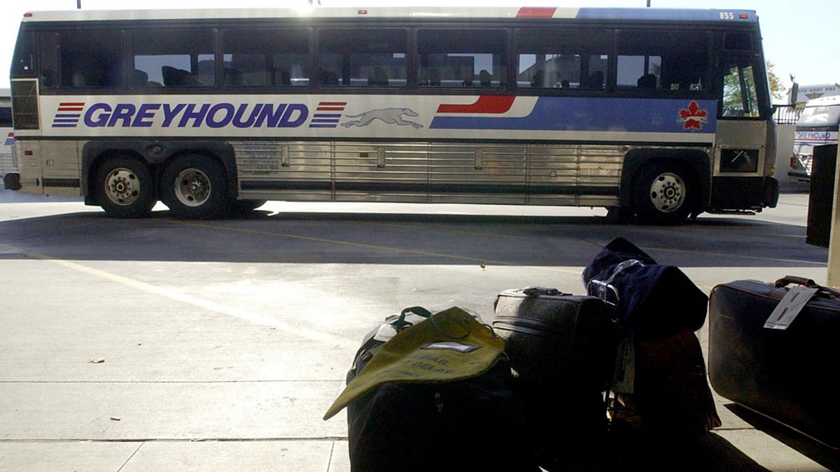 BBC World Service The Documentary, Greyhound 100, Greyhound 100