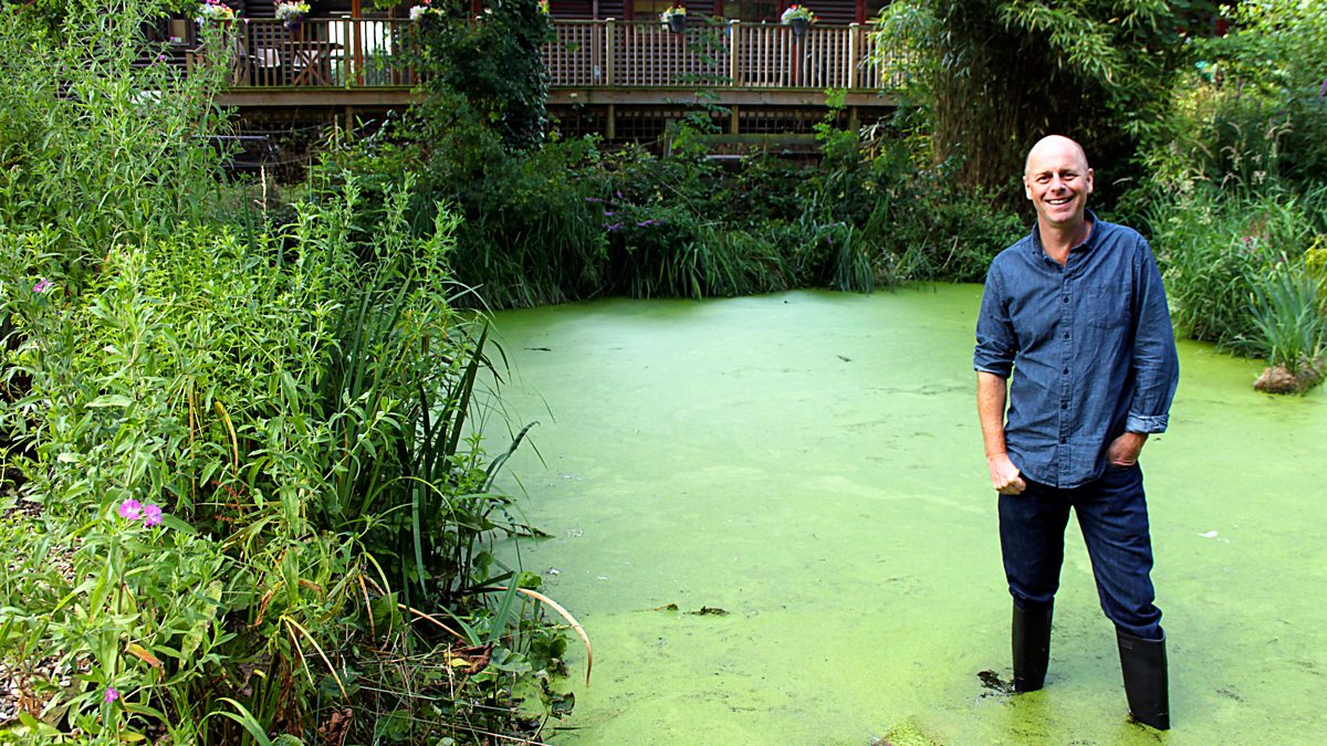 BBC Two Great British Garden Revival, Series 2, Bog Gardens and Soft