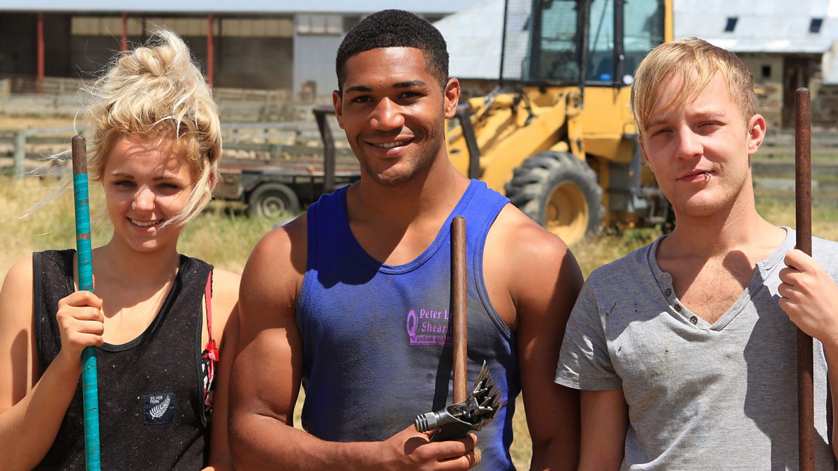 BBC Three World's Toughest Jobs Sheep shearing in New Zealand